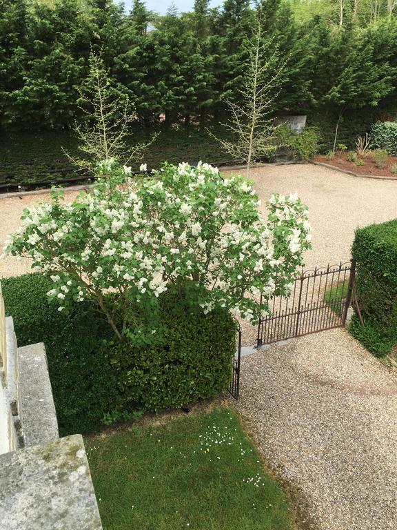 Manoir Le Mesnil Bed & Breakfast Saint-Martin-aux-Chartrains Bagian luar foto
