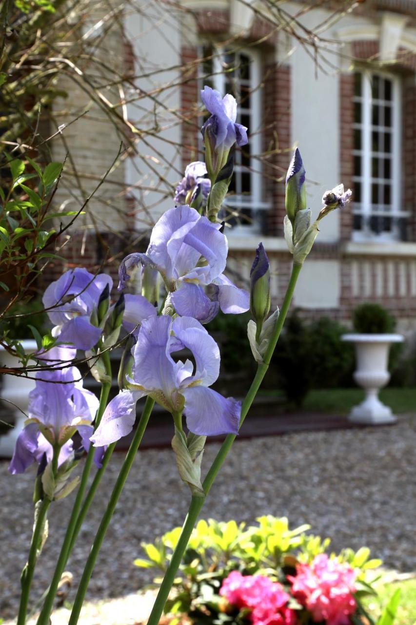Manoir Le Mesnil Bed & Breakfast Saint-Martin-aux-Chartrains Bagian luar foto